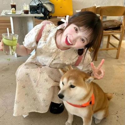 疯狂农庄:动物也开趴
