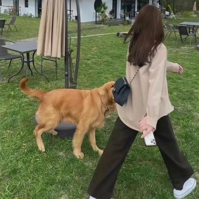 隔壁的男孩